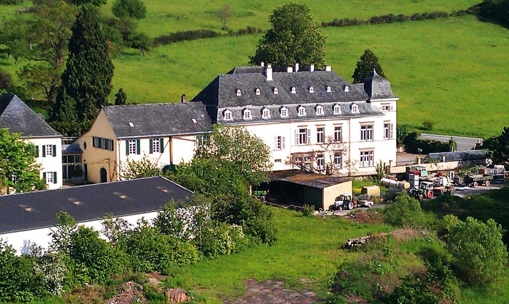 Haus Sonnenschein Appartement Wiltingen Buitenkant foto