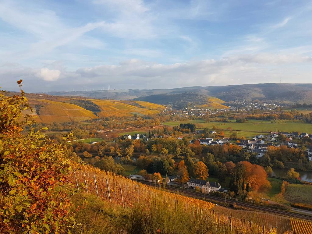 Haus Sonnenschein Appartement Wiltingen Buitenkant foto